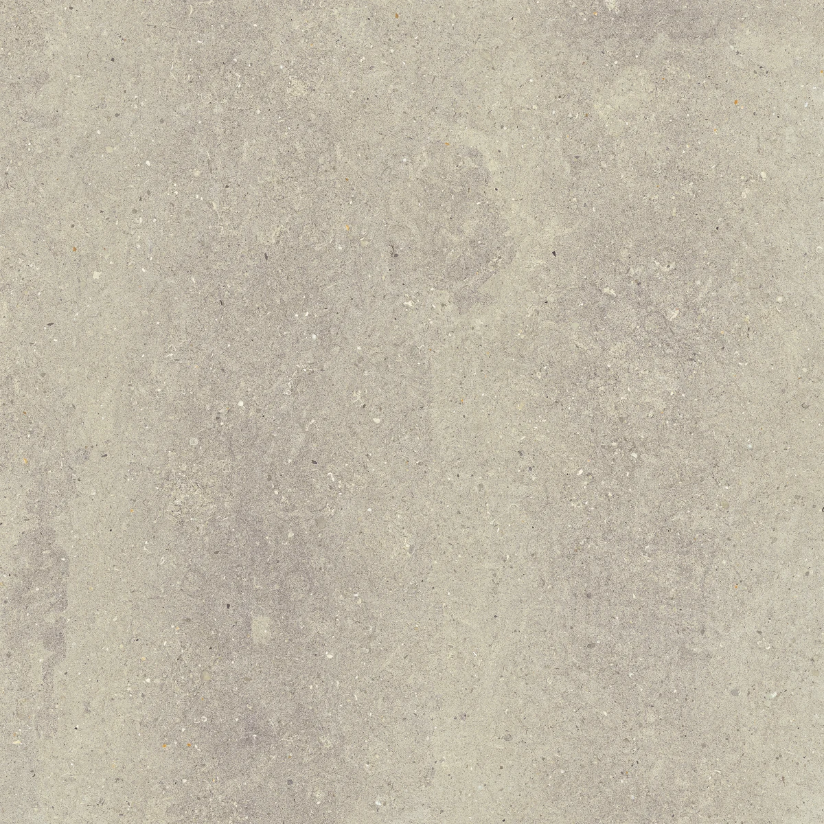face 4